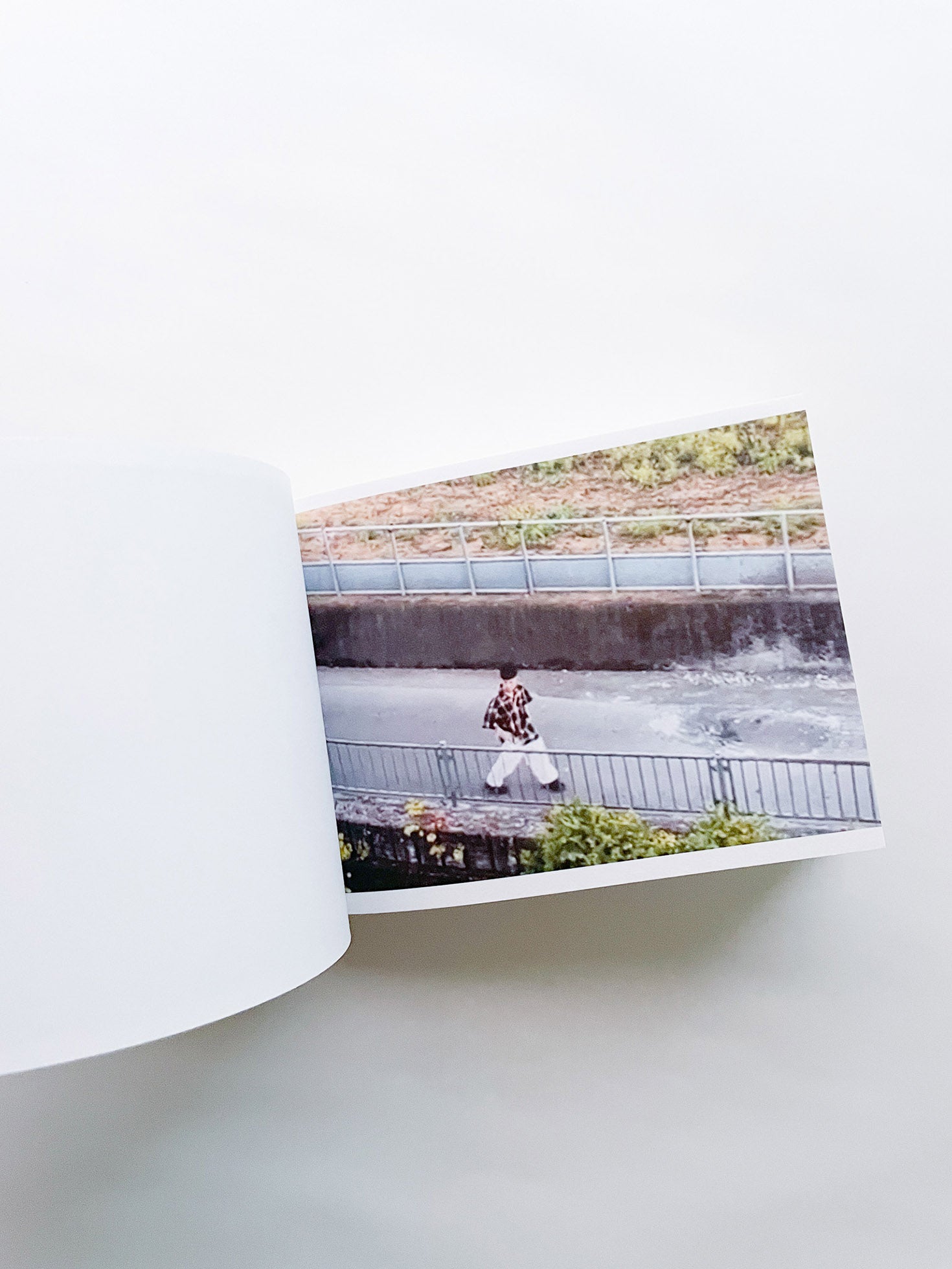 SCREENSHOTS FROM A SERIES OF VIDEOS ABOUT A RICE FIELD AND ITS SURROUNDINGS / Cintia Tortosa Santisteban [SIGNED]