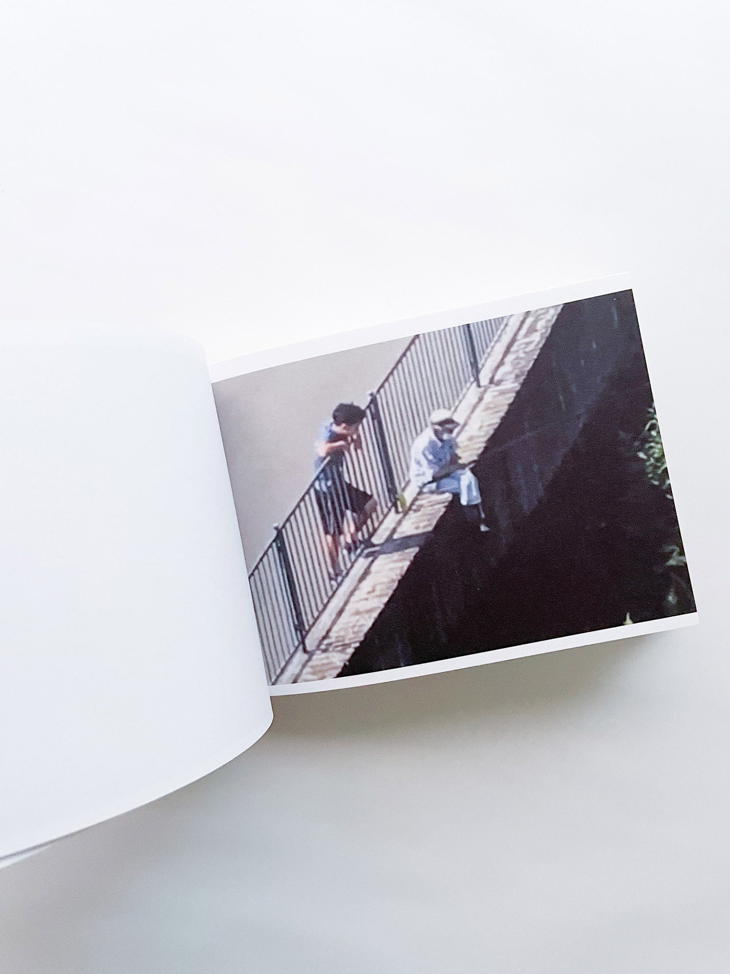 SCREENSHOTS FROM A SERIES OF VIDEOS ABOUT A RICE FIELD AND ITS SURROUNDINGS / Cintia Tortosa Santisteban [SIGNED]