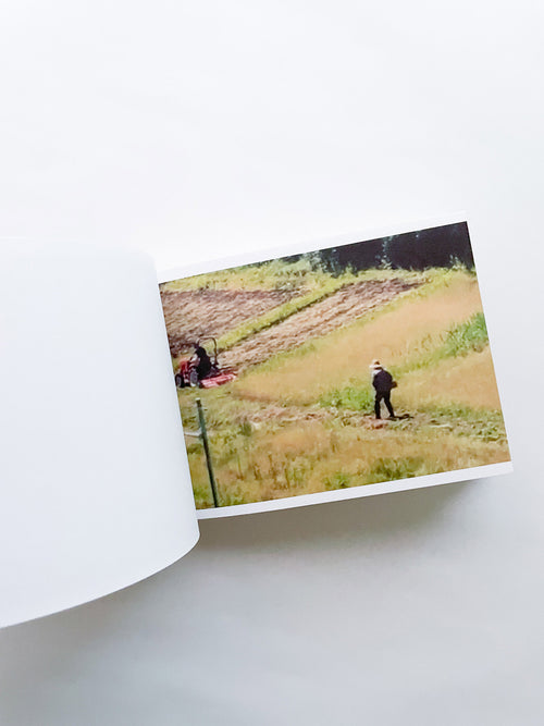 SCREENSHOTS FROM A SERIES OF VIDEOS ABOUT A RICE FIELD AND ITS SURROUNDINGS / Cintia Tortosa Santisteban [SIGNED]