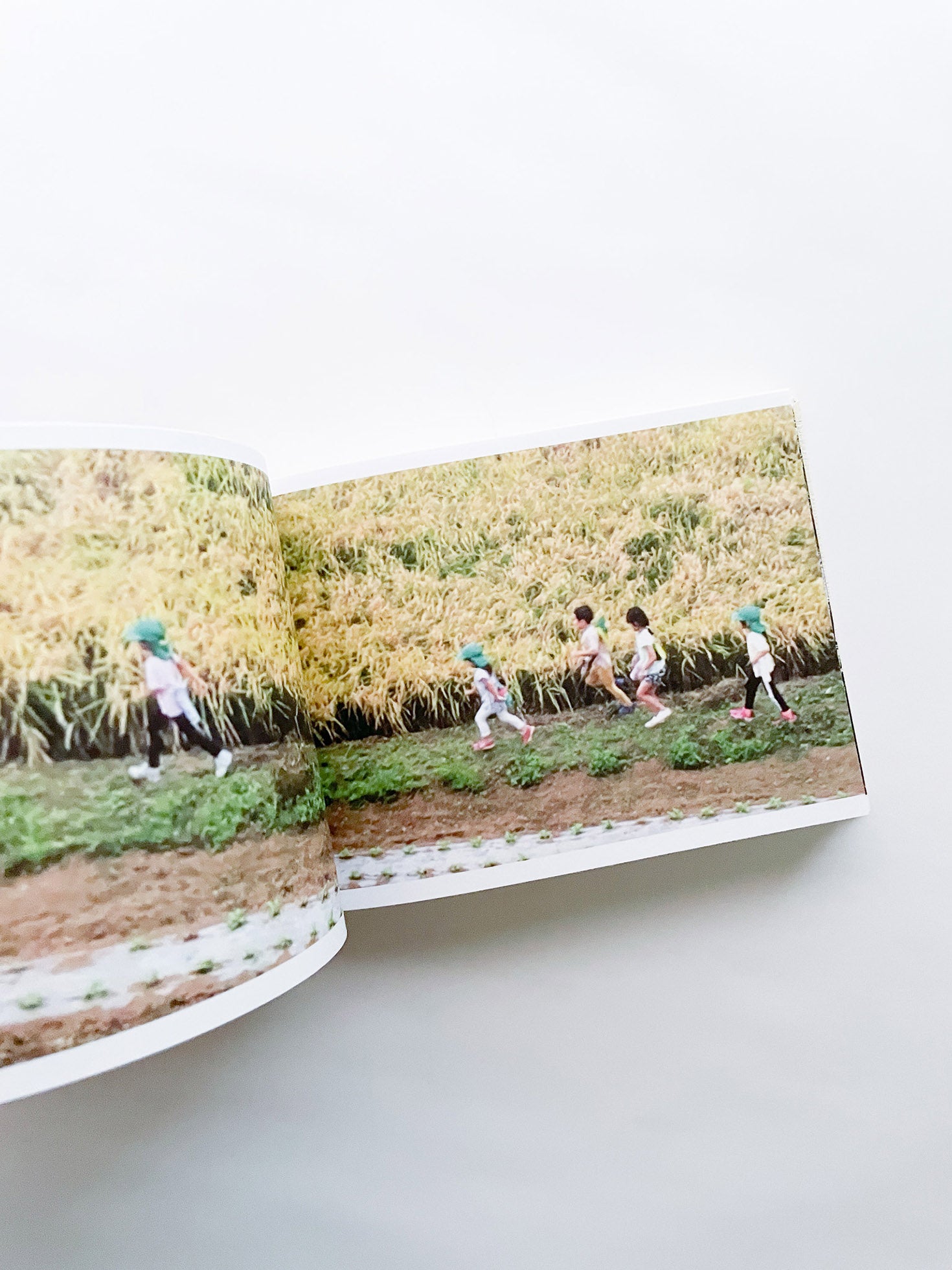SCREENSHOTS FROM A SERIES OF VIDEOS ABOUT A RICE FIELD AND ITS SURROUNDINGS / Cintia Tortosa Santisteban [SIGNED]
