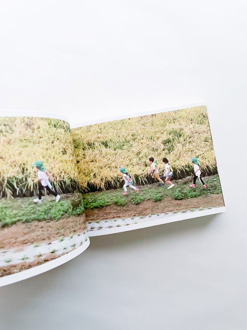 SCREENSHOTS FROM A SERIES OF VIDEOS ABOUT A RICE FIELD AND ITS SURROUNDINGS / Cintia Tortosa Santisteban [SIGNED]