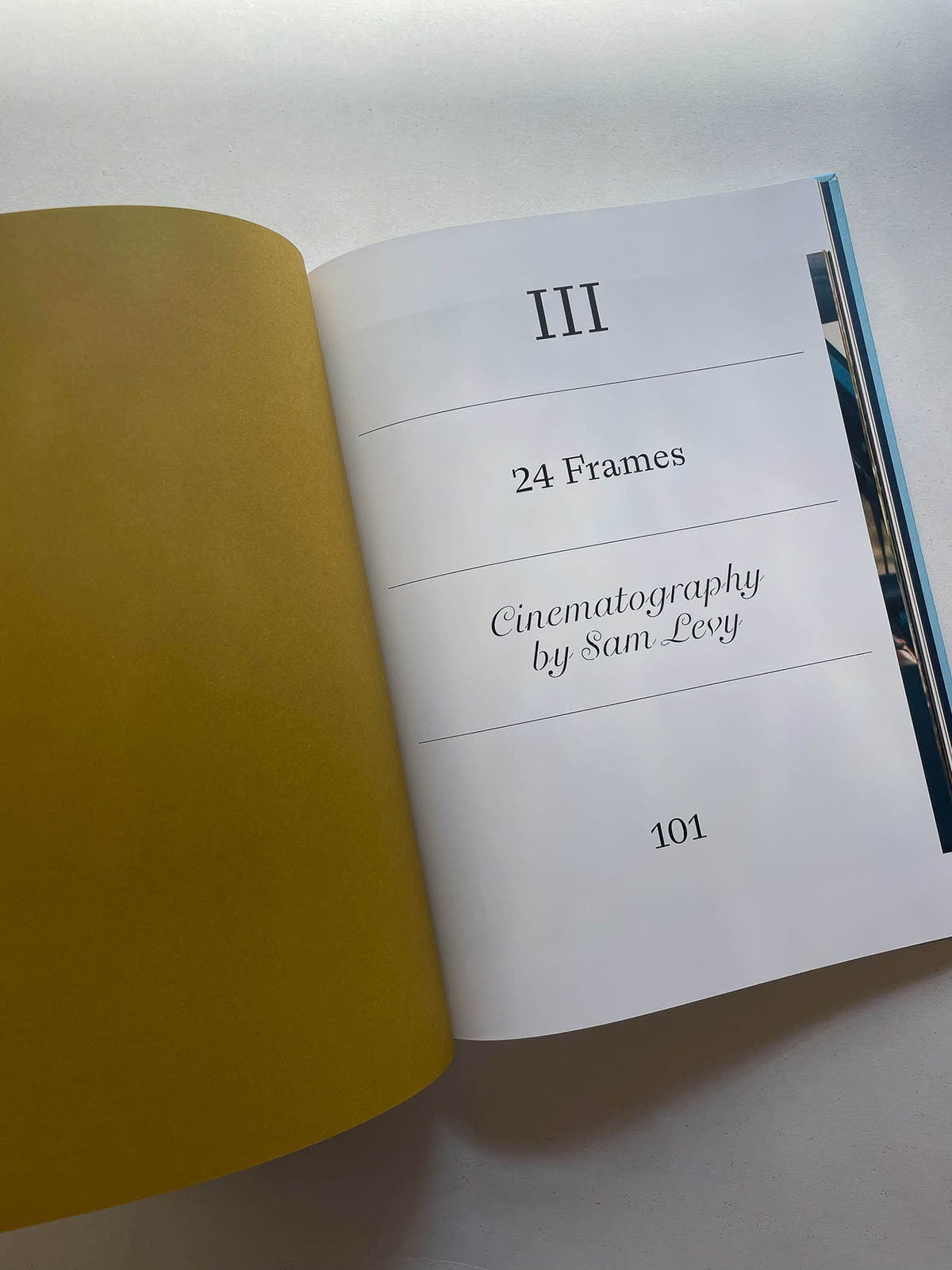LADY BIRD SCREENPLAY BOOK / Greta Gerwig