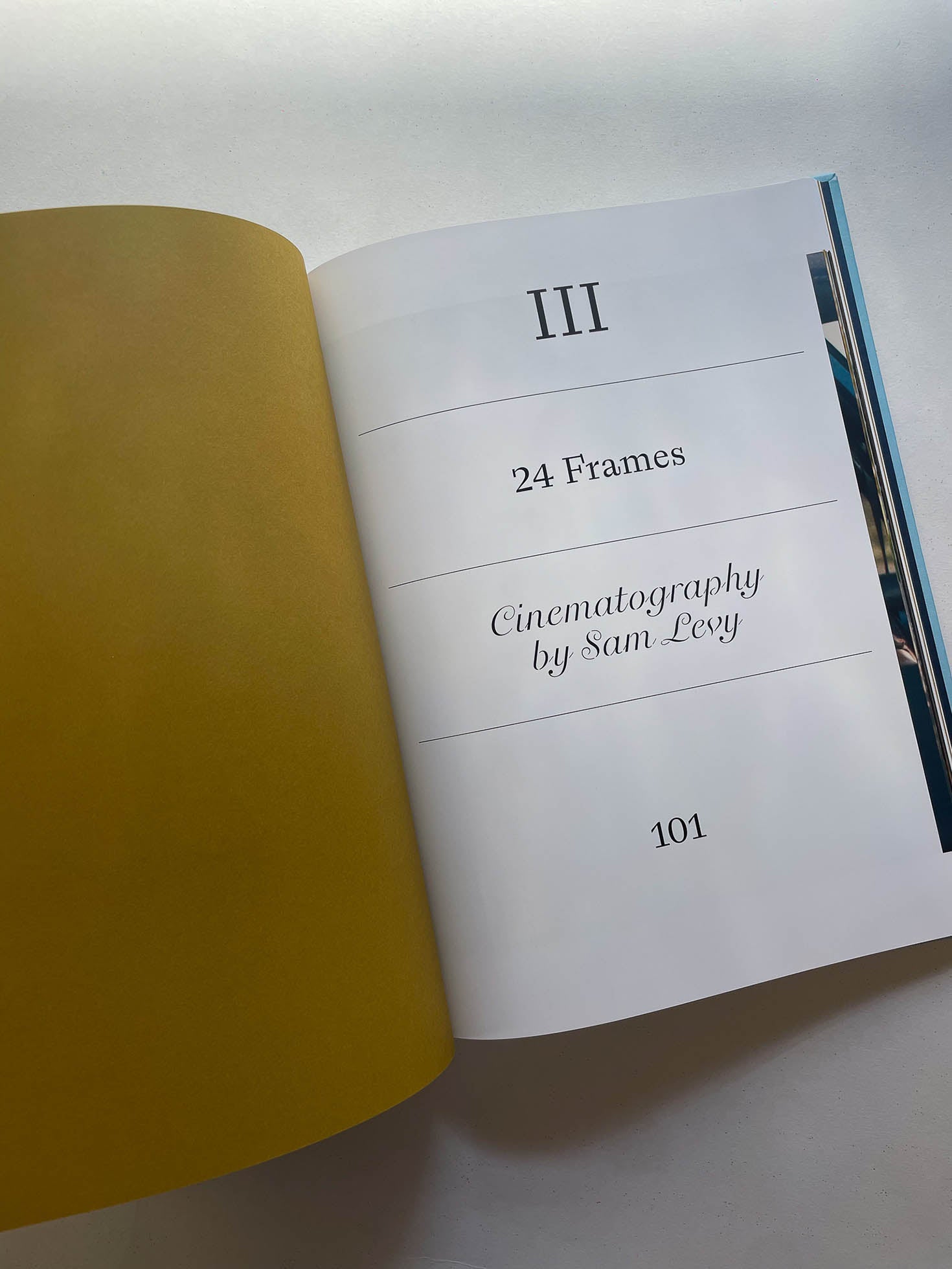 LADY BIRD SCREENPLAY BOOK / Greta Gerwig