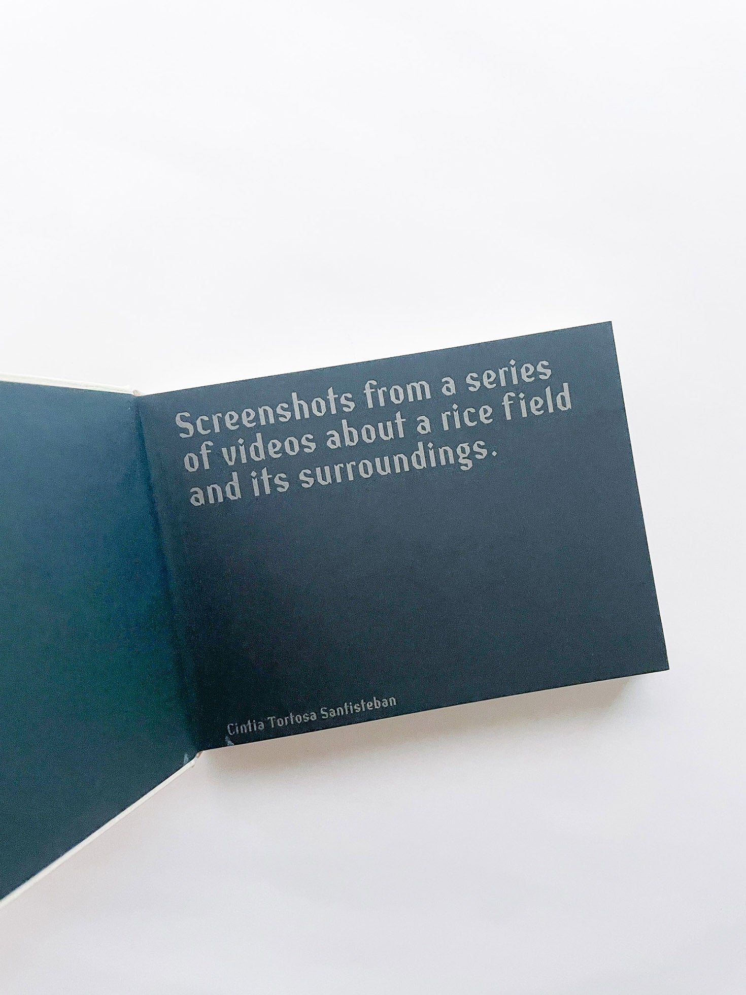 SCREENSHOTS FROM A SERIES OF VIDEOS ABOUT A RICE FIELD AND ITS SURROUNDINGS / Cintia Tortosa Santisteban [SIGNED]