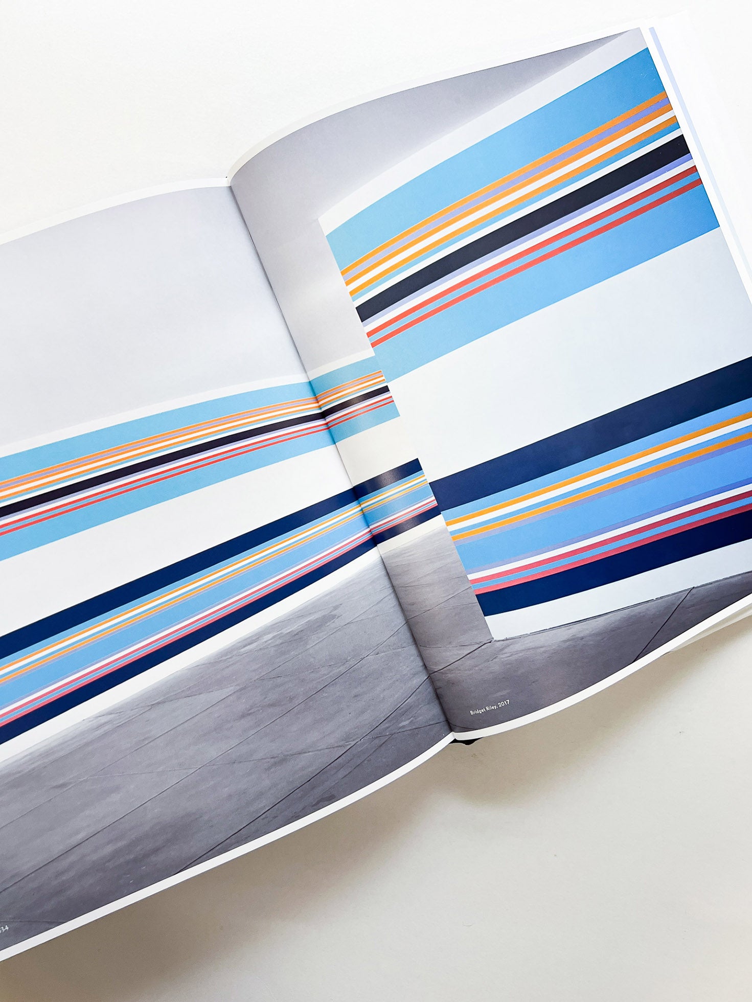 CHINATI: THE VISION OF DONALD JUDD [SECOND EDITION] - 本屋青旗 Ao