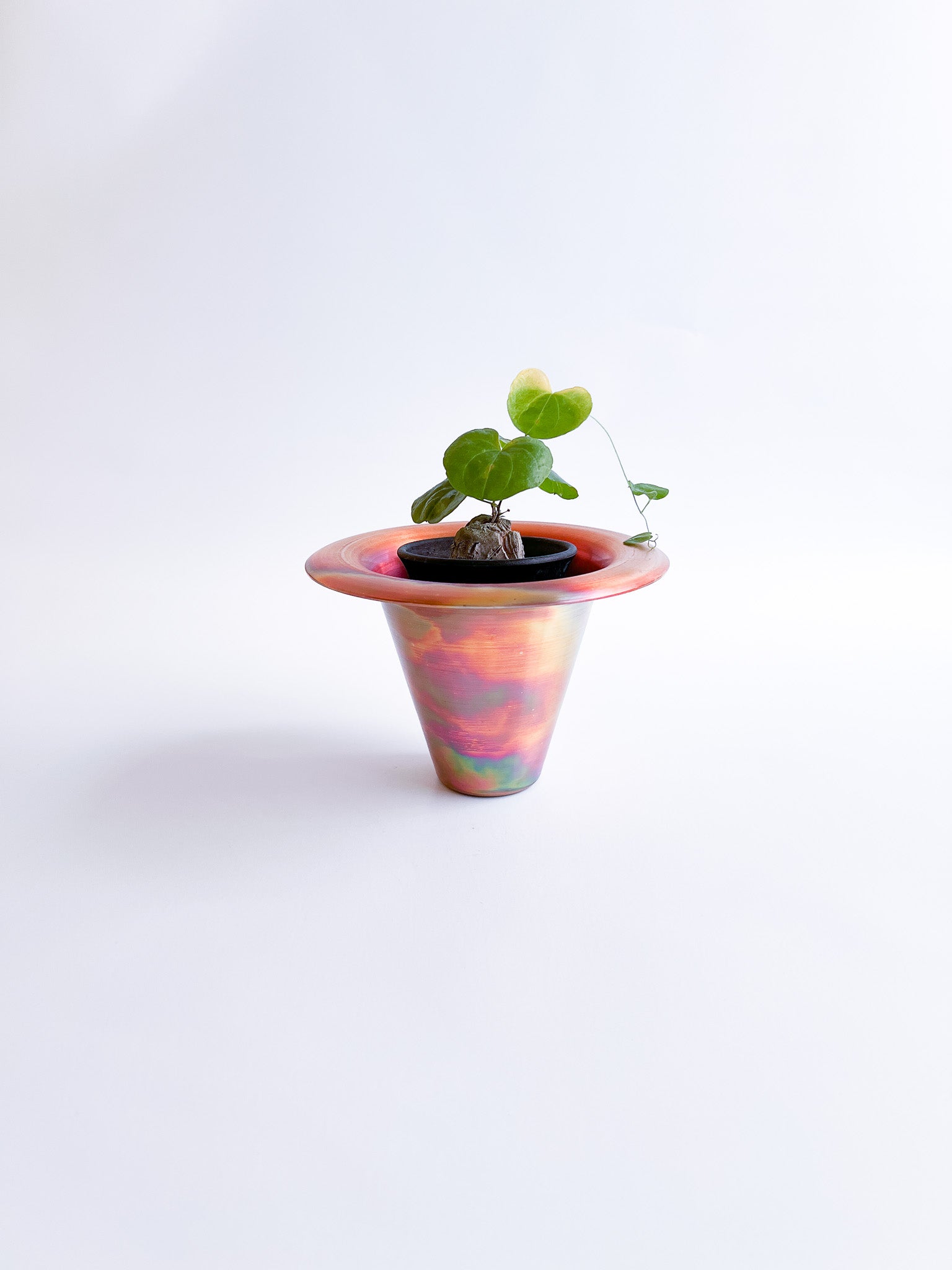 copper pot TYPE #6〈metalic〉 - 本屋青旗 Ao-Hata Bookstore