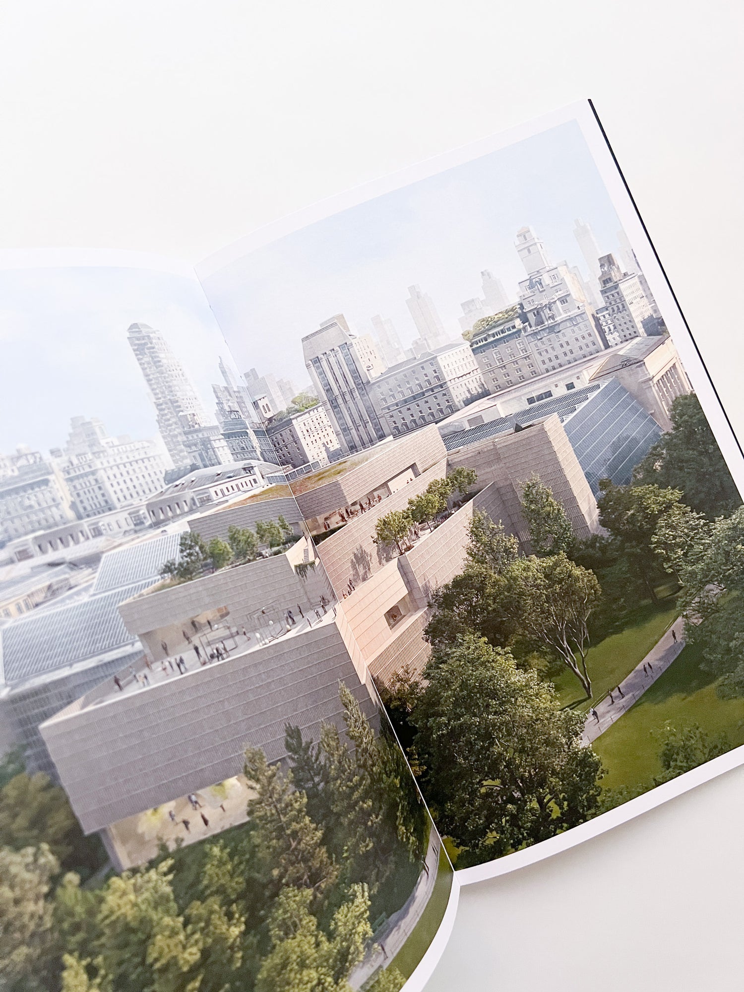 SUSPENDED MOMENT: The Architecture of FRIDA ESCOBEDO