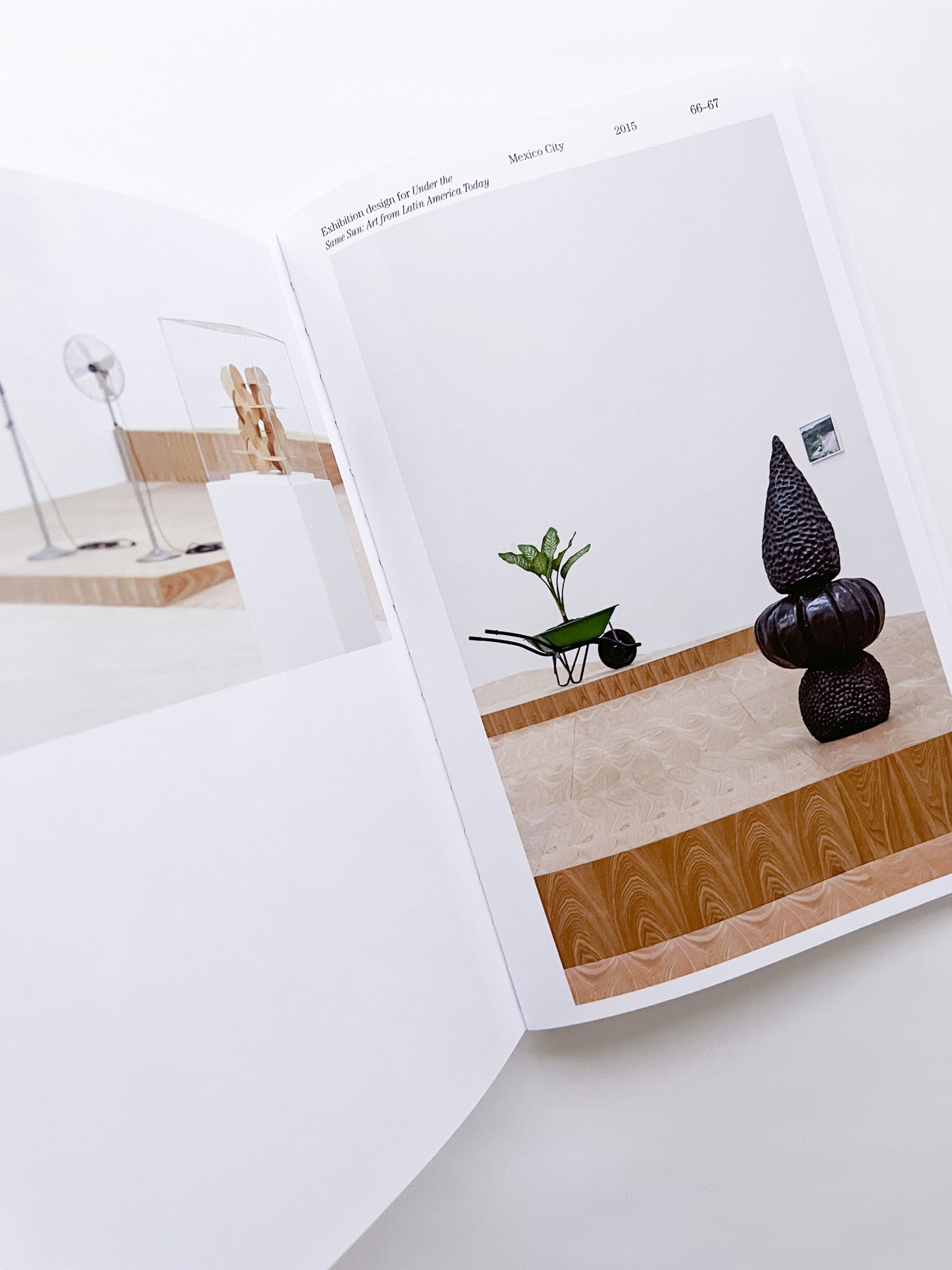 SUSPENDED MOMENT: The Architecture of FRIDA ESCOBEDO