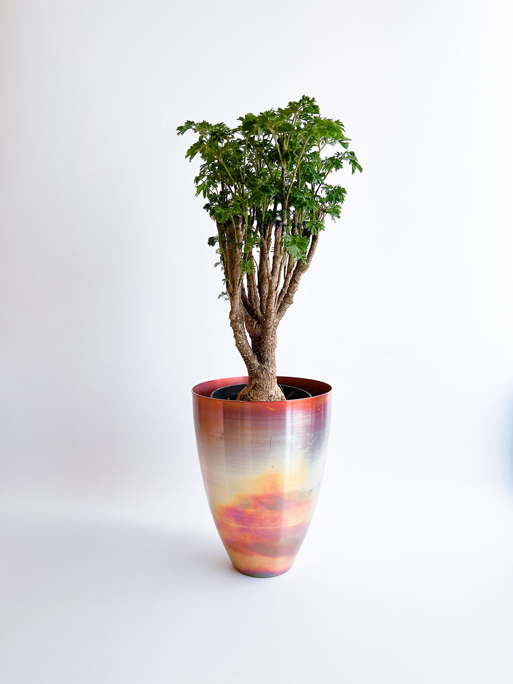 copper pot　TYPE #6〈metalic〉