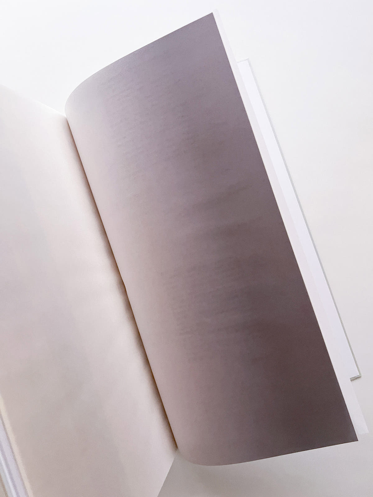 THE BOOK OF HOURS / Frida Escobedo