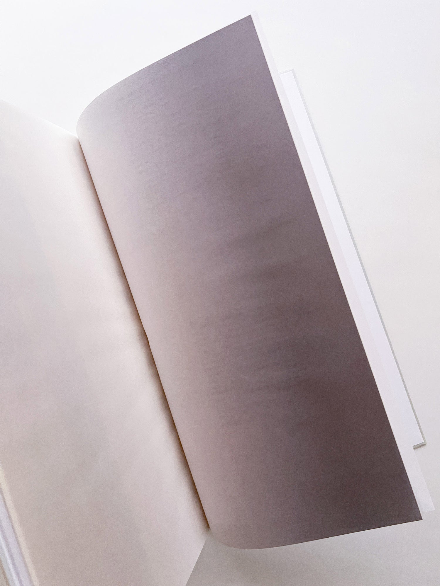 THE BOOK OF HOURS / Frida Escobedo