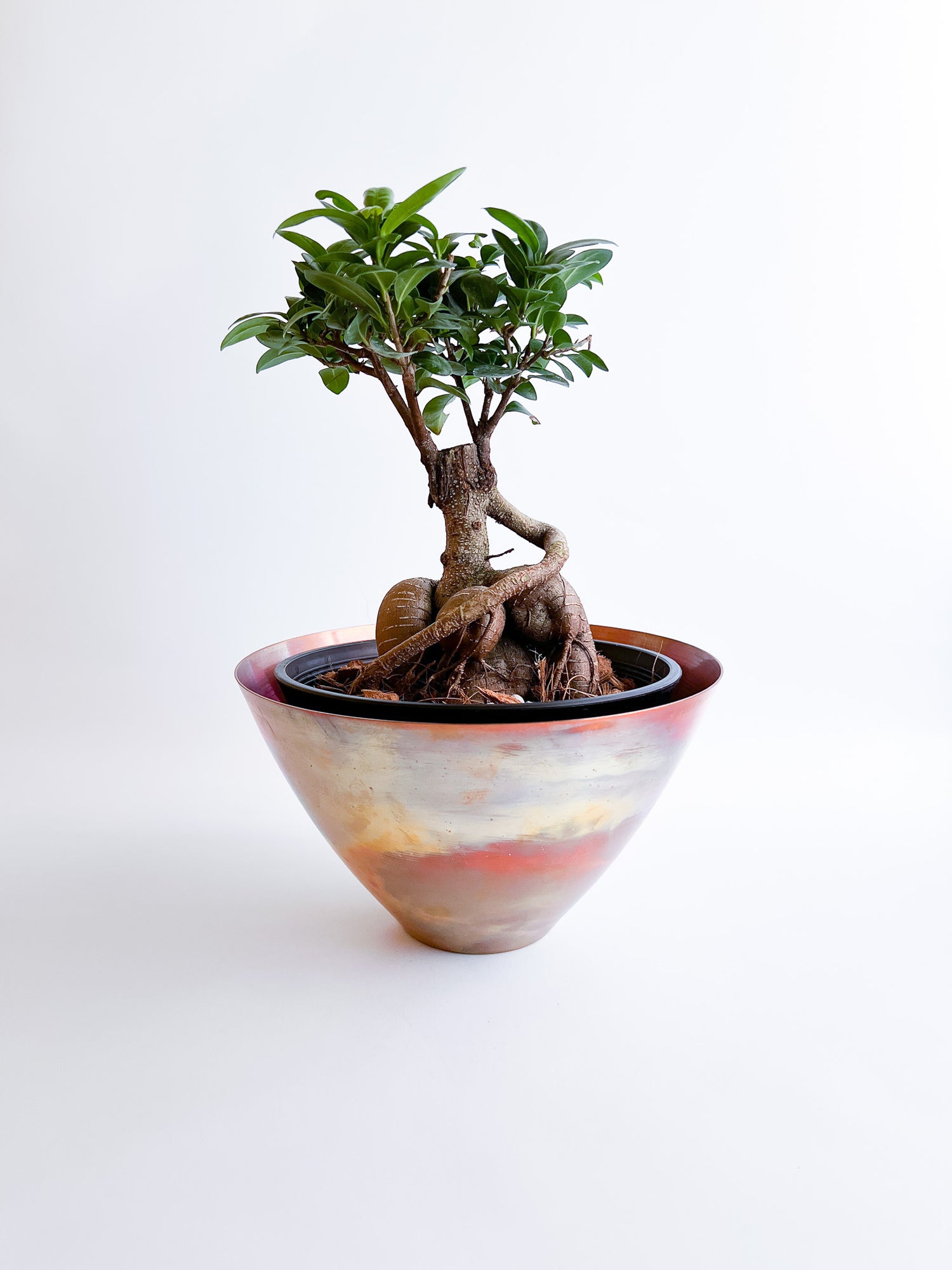 copper pot TYPE #5〈metalic〉 - 本屋青旗 Ao-Hata Bookstore