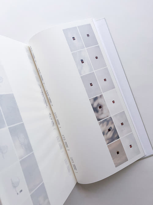 THE BOOK OF HOURS / Frida Escobedo