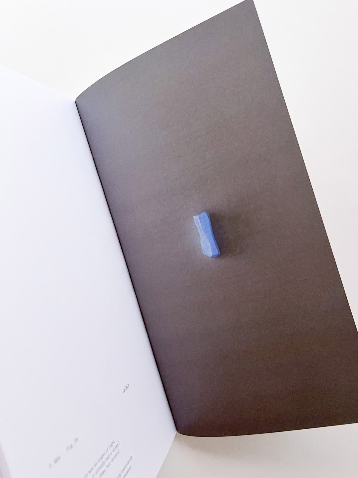 THE BOOK OF HOURS / Frida Escobedo