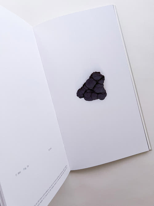 THE BOOK OF HOURS / Frida Escobedo