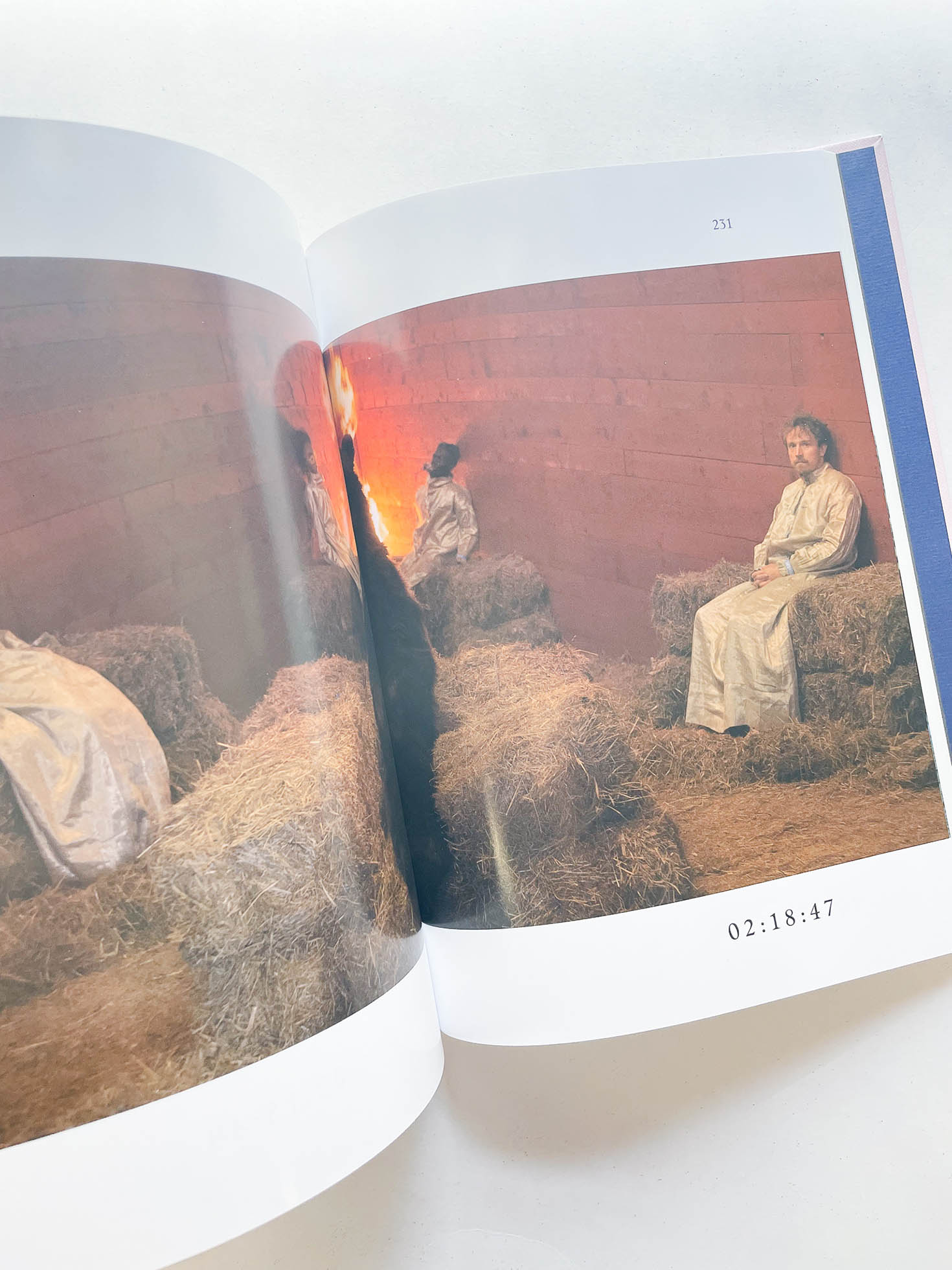 MIDSOMMAR SCREENPLAY BOOK / Ari Aster - 本屋青旗 Ao-Hata Bookstore