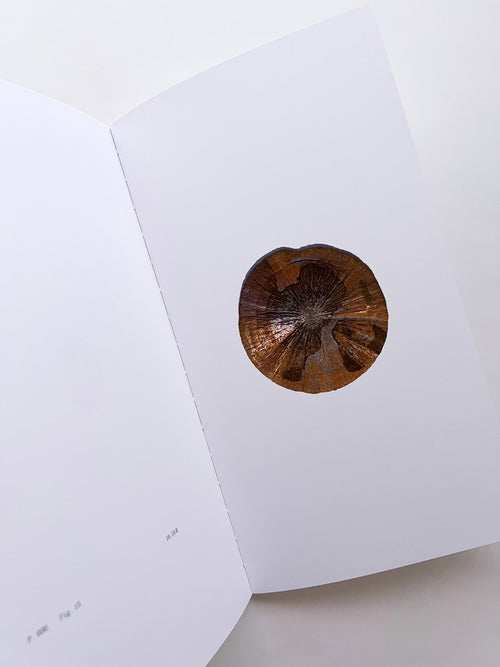 THE BOOK OF HOURS / Frida Escobedo