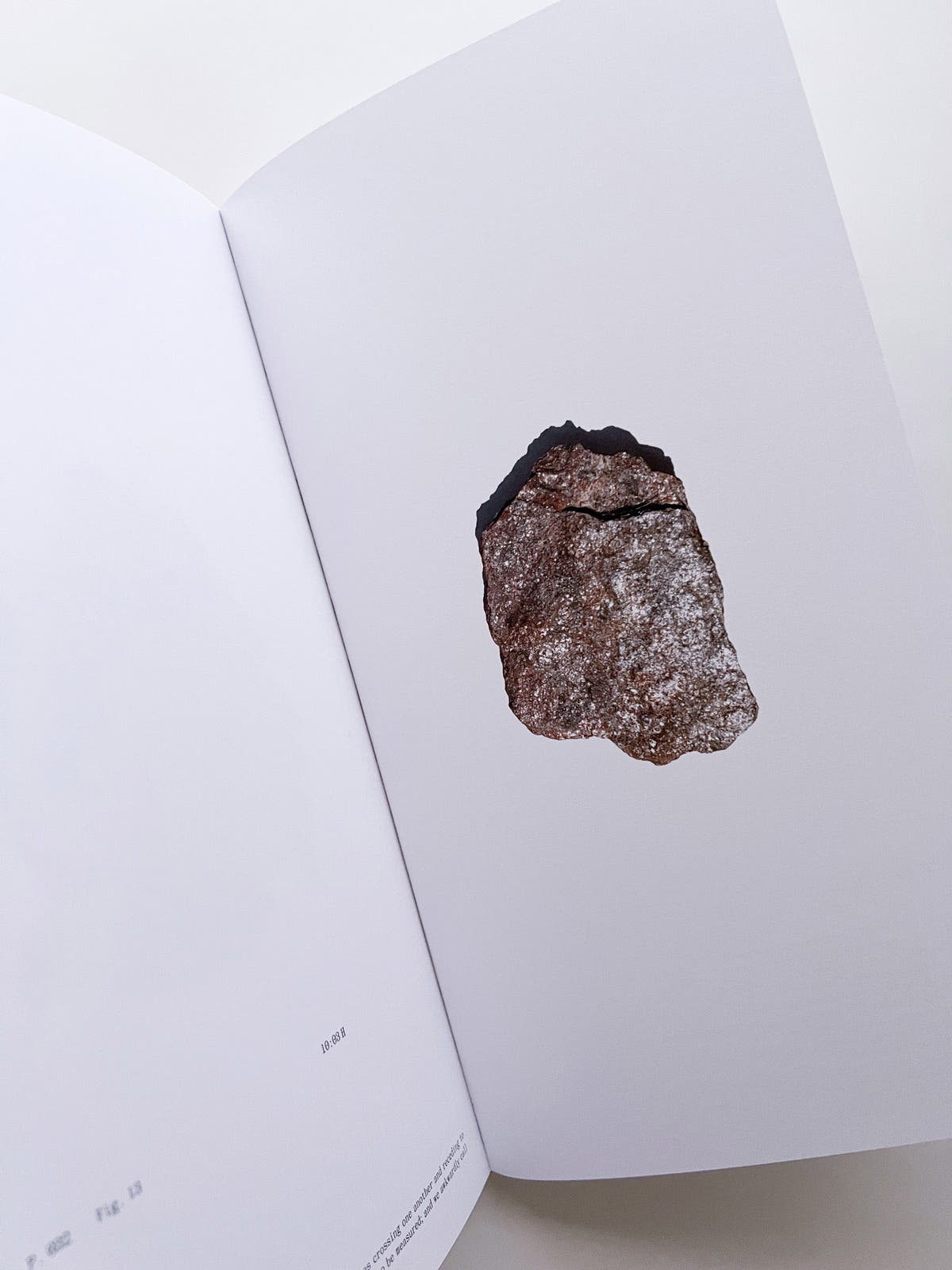 THE BOOK OF HOURS / Frida Escobedo