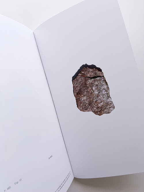 THE BOOK OF HOURS / Frida Escobedo