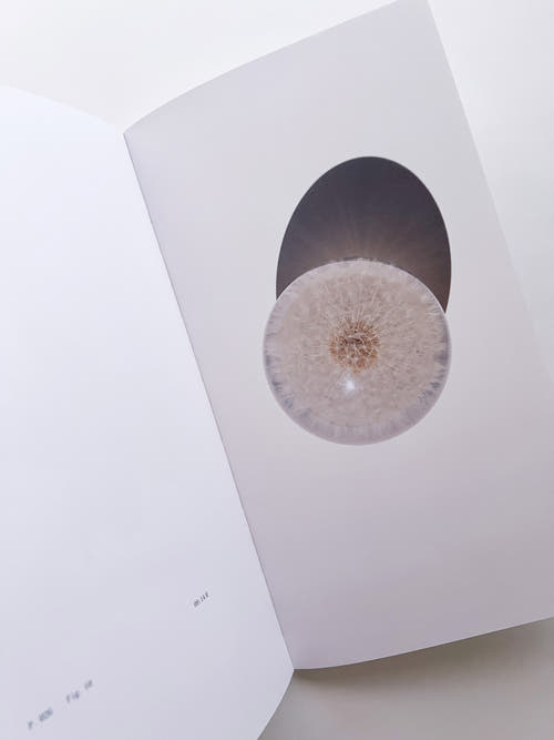 THE BOOK OF HOURS / Frida Escobedo