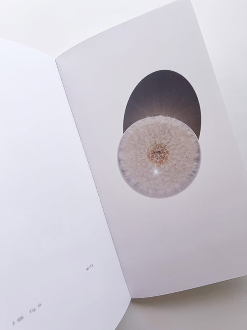 THE BOOK OF HOURS / Frida Escobedo