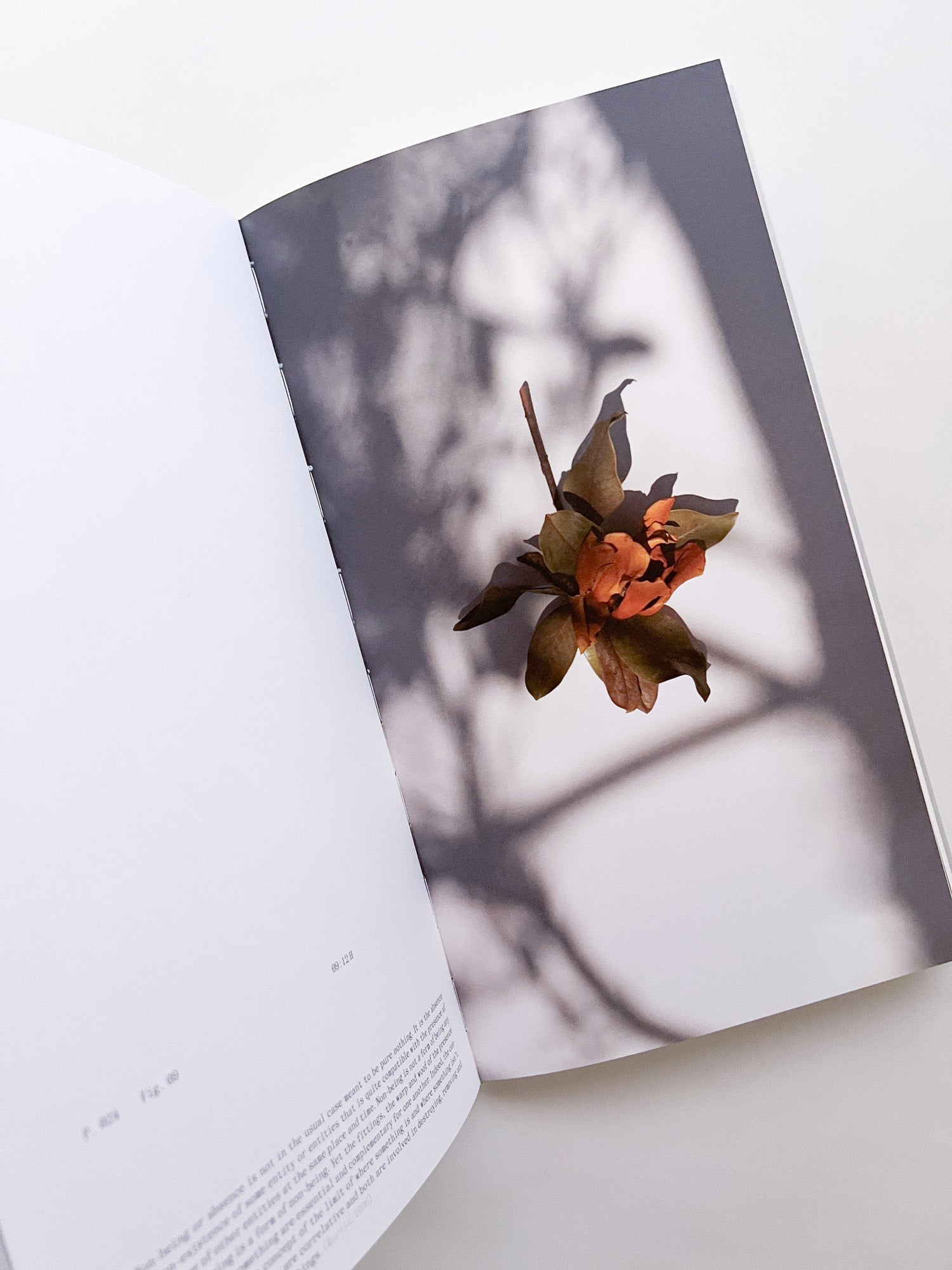 THE BOOK OF HOURS / Frida Escobedo