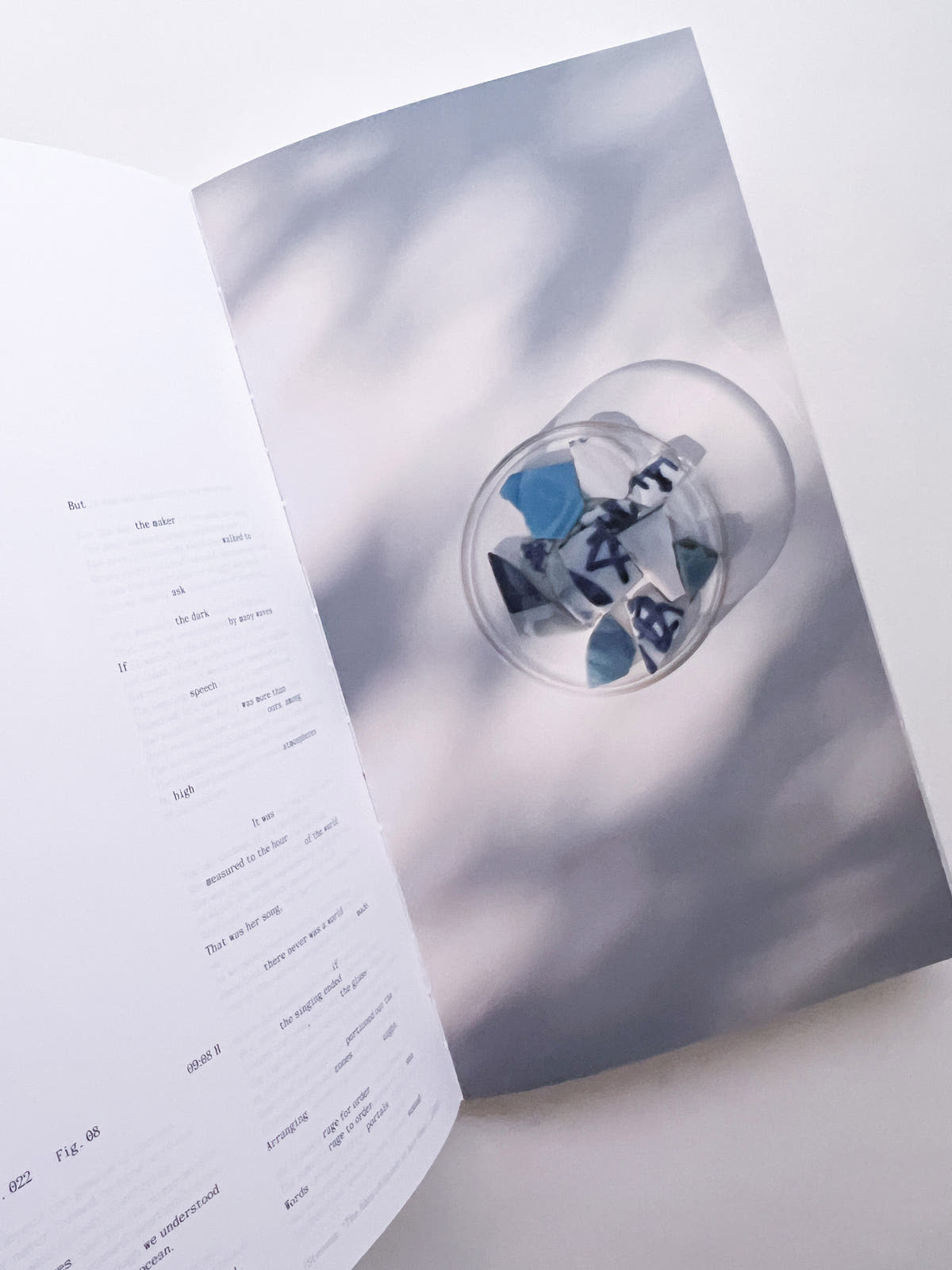 THE BOOK OF HOURS / Frida Escobedo