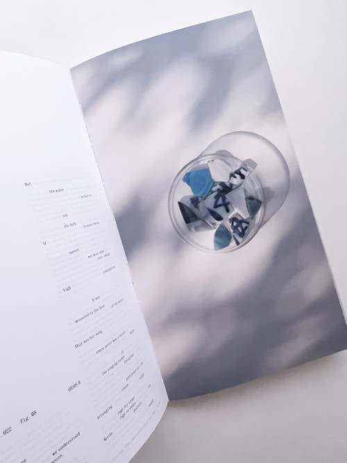 THE BOOK OF HOURS / Frida Escobedo