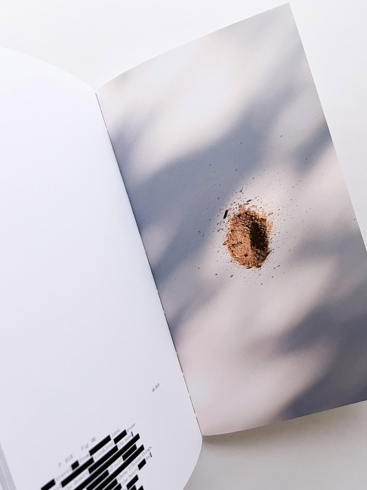 THE BOOK OF HOURS / Frida Escobedo