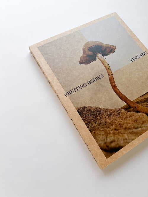 Fruiting Bodies / Ying Ang