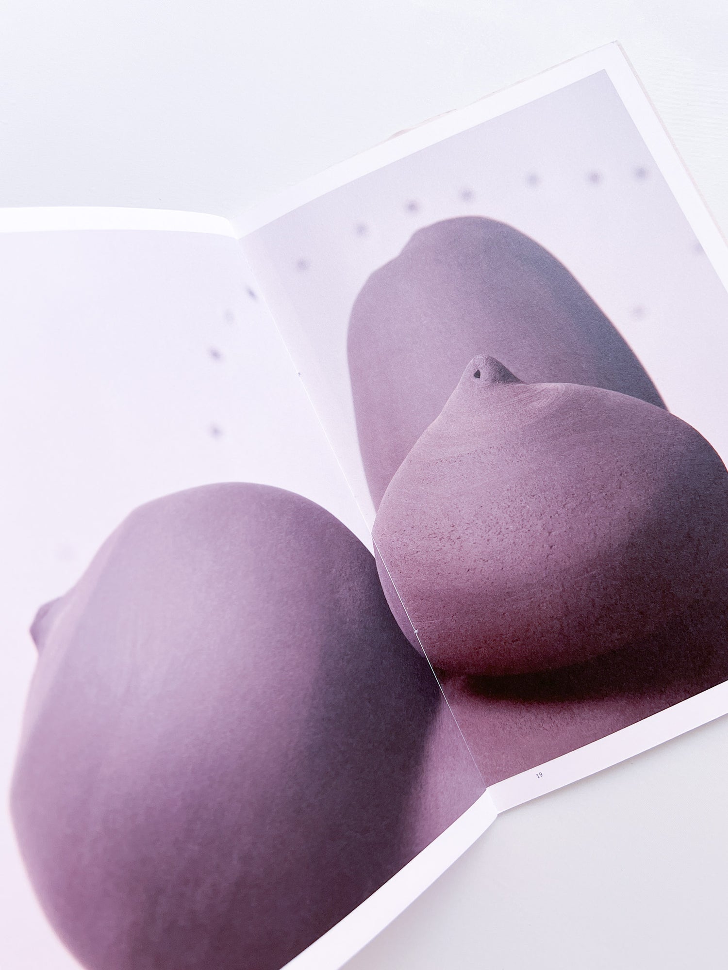 Fruits of Labor / Ruth van Beek, Mariken Wessels