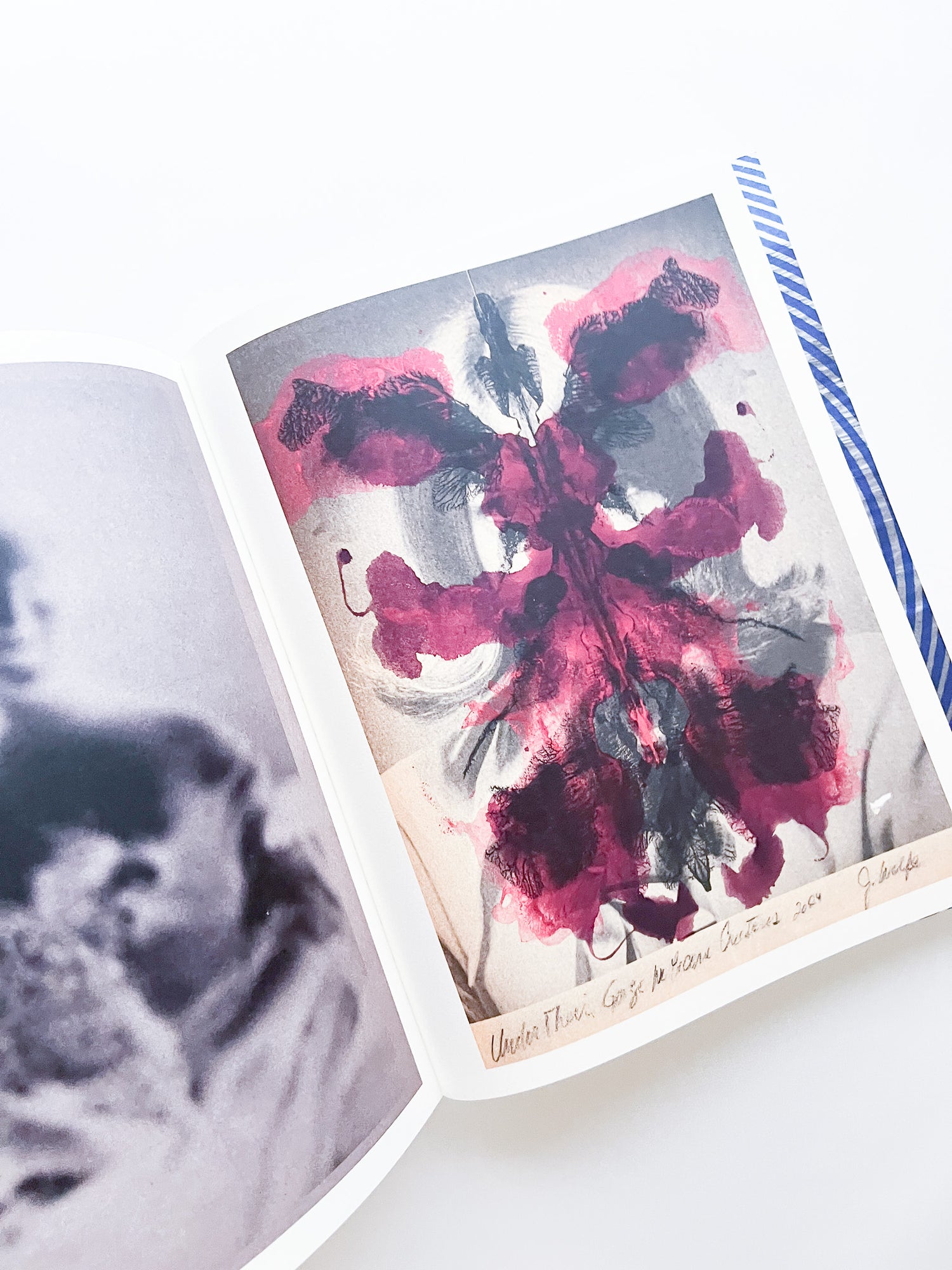 APOPHENIA VOLUME 02: Exquisite Corpse / Julie Wolfe