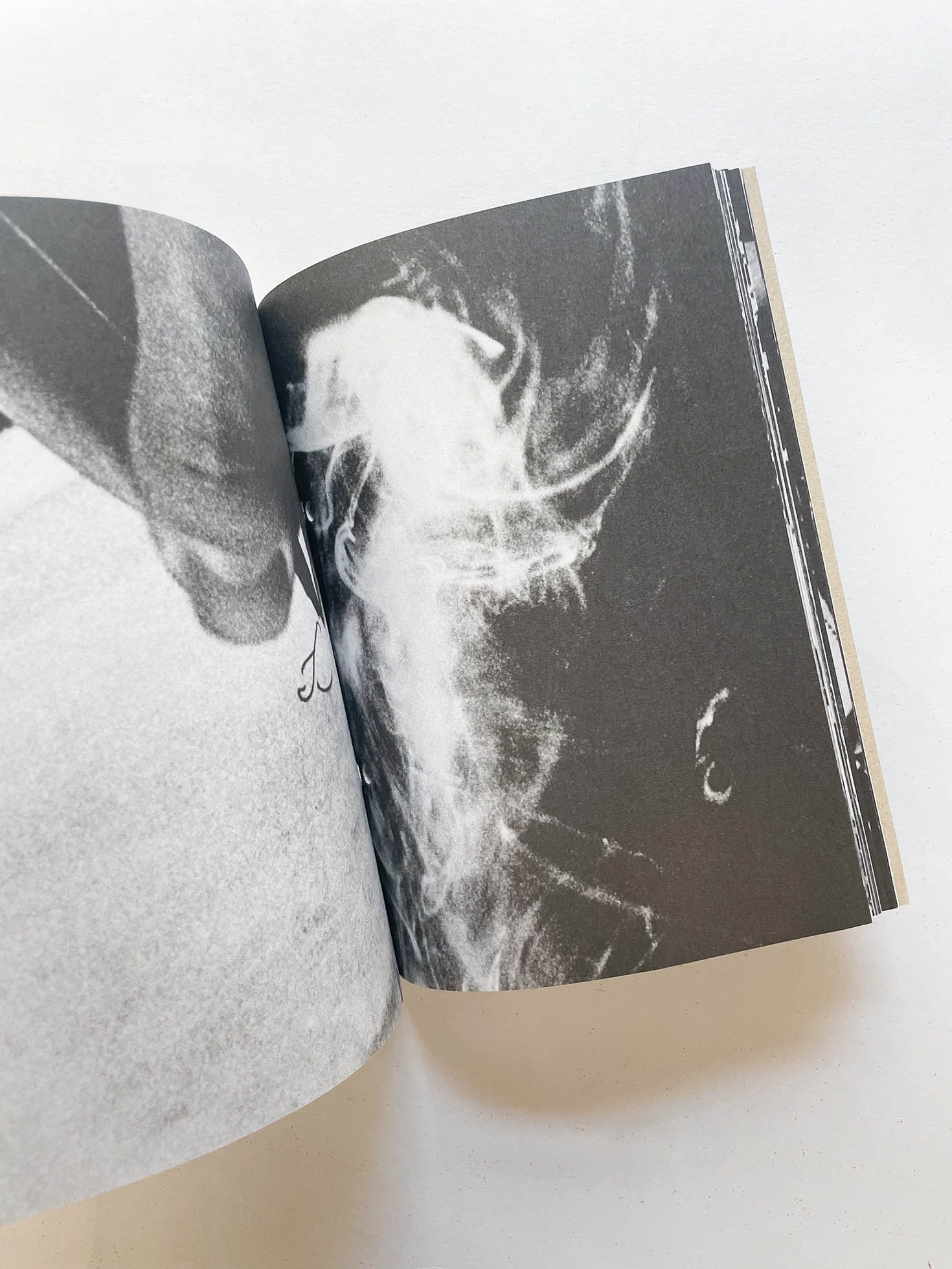 PI: THE GUERILLA DIARIES / Darren Aronofsky