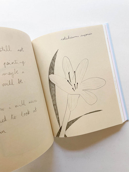 CARNETS / Johanna Tagada Hoffbeck