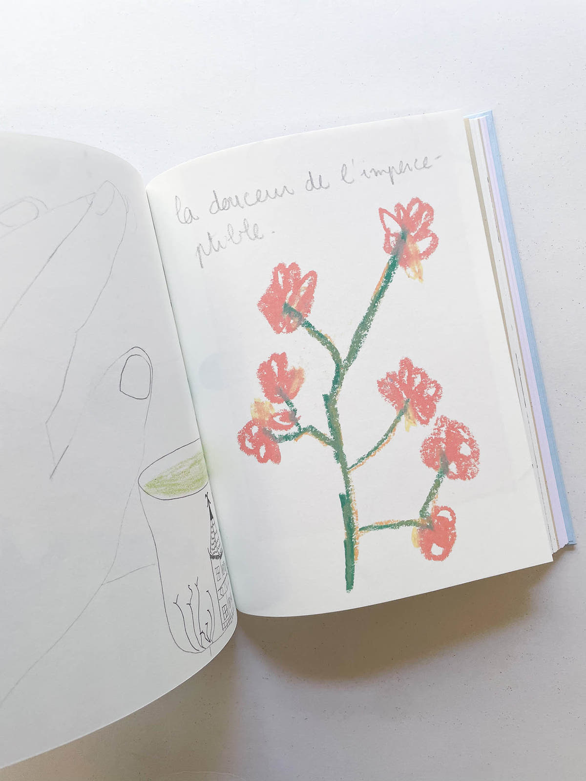 CARNETS / Johanna Tagada Hoffbeck