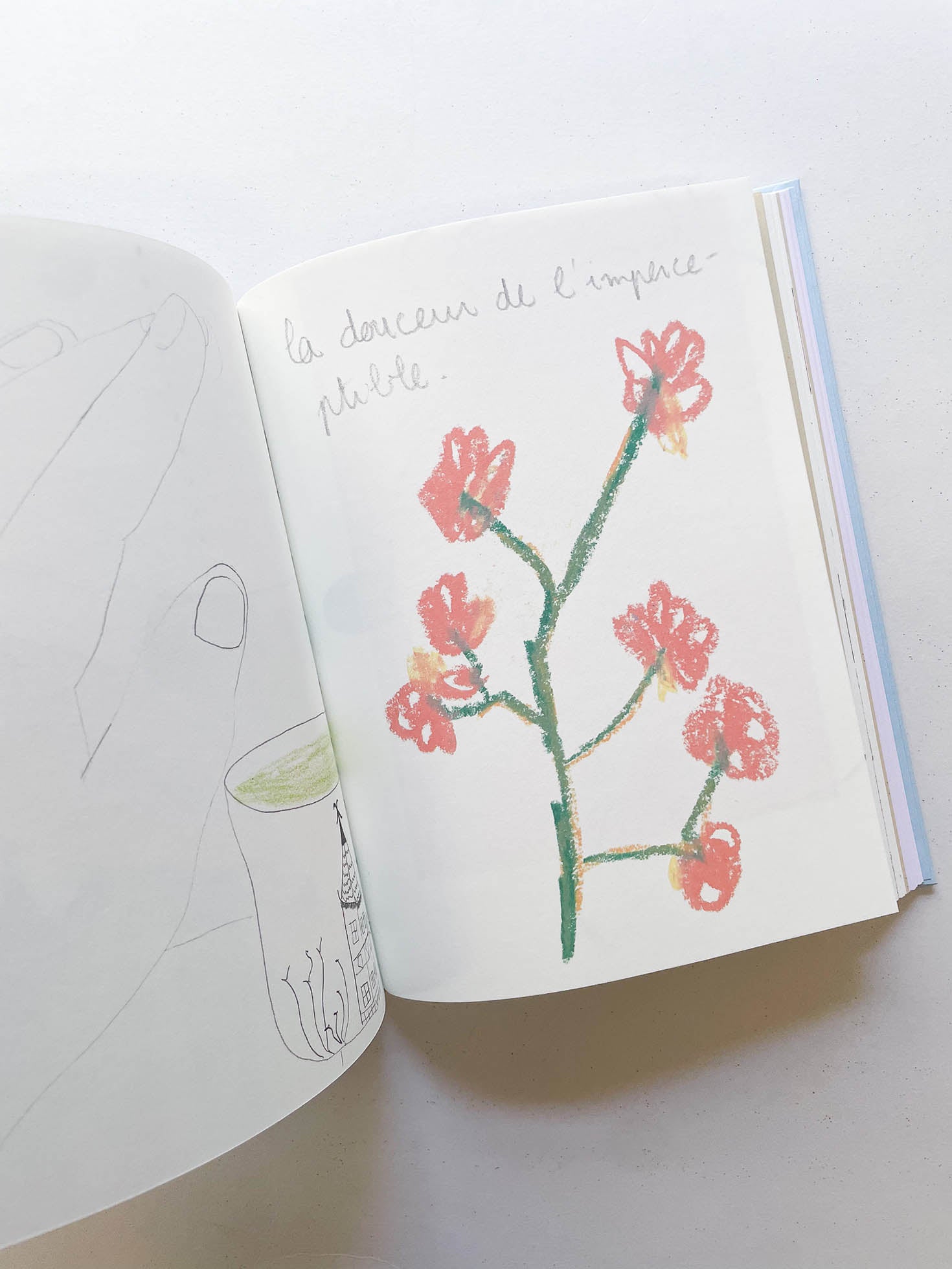 CARNETS / Johanna Tagada Hoffbeck