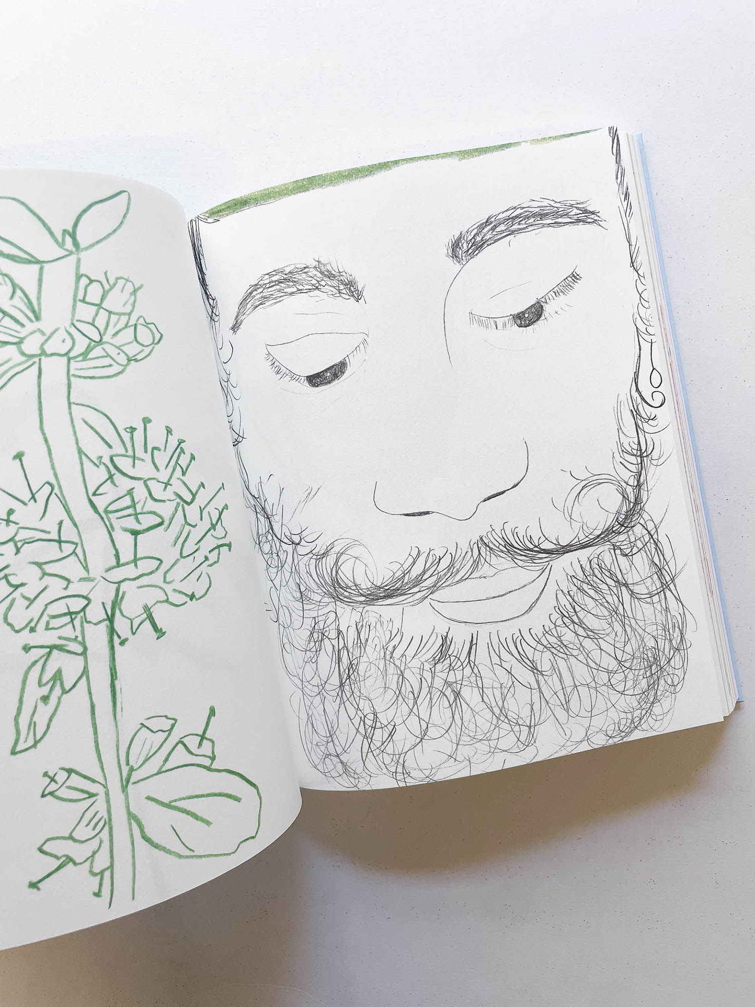 CARNETS / Johanna Tagada Hoffbeck