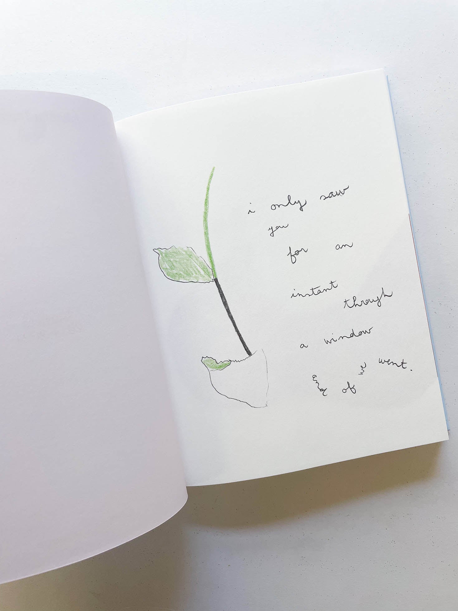 CARNETS / Johanna Tagada Hoffbeck