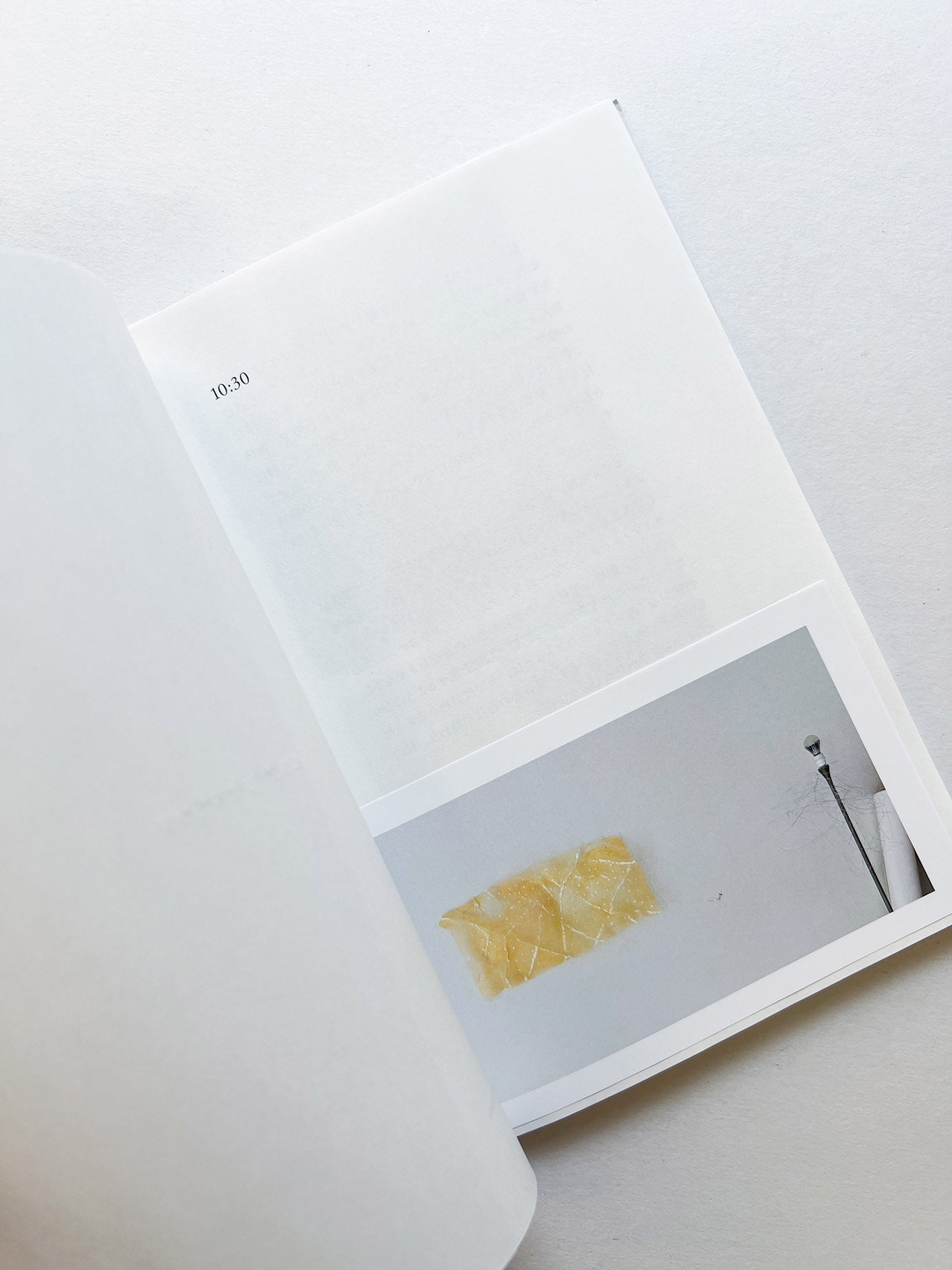 25時のピクニック / 木下理子