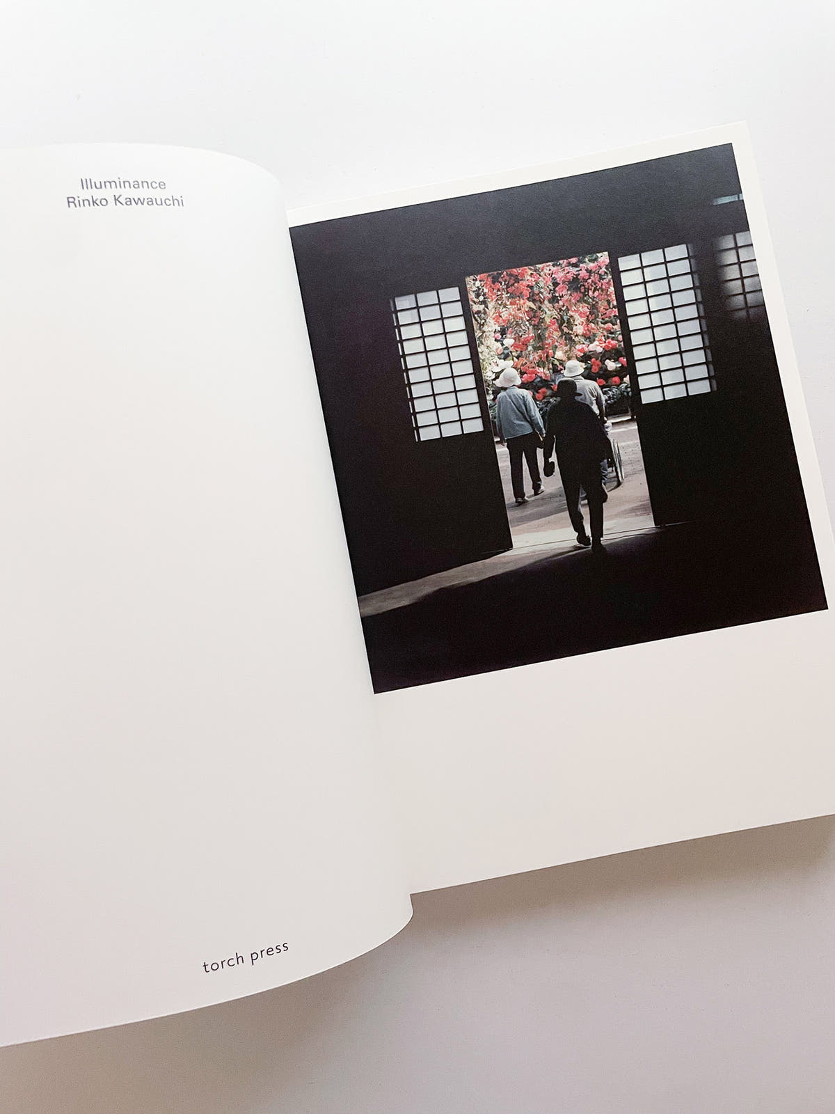 Illuminance: The 10th Anniversary Edition / Rinko Kawauchi