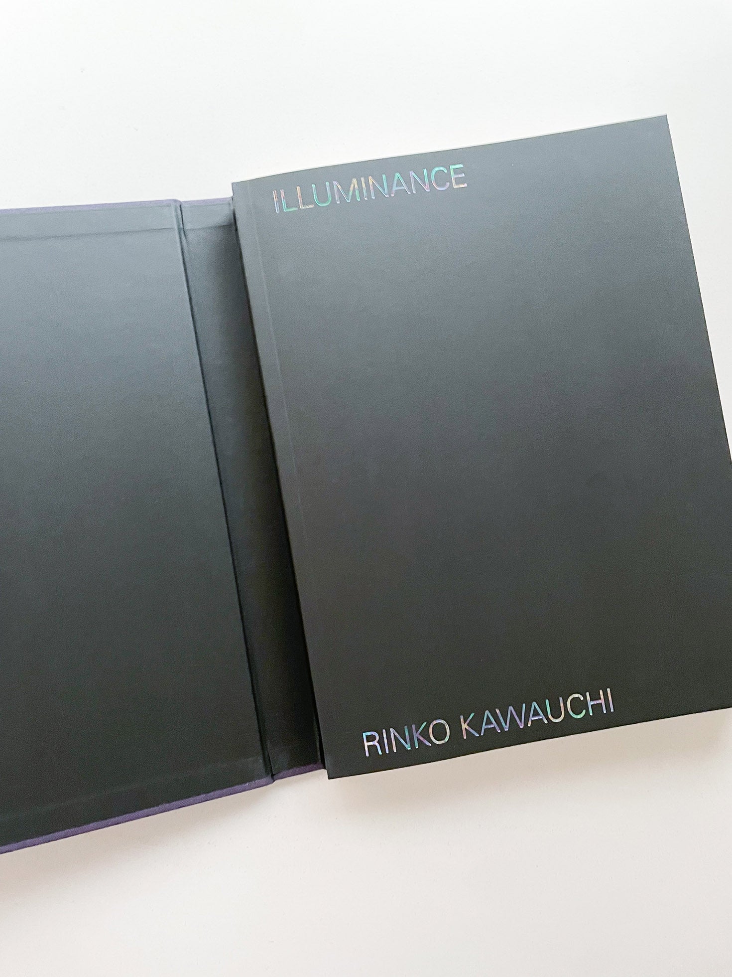 Illuminance: The 10th Anniversary Edition / Rinko Kawauchi - 本屋