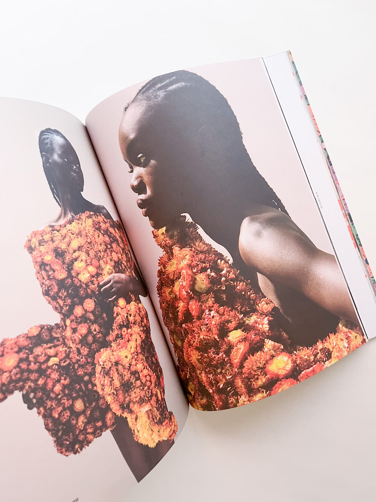 Blumenhaus magazine Issue6