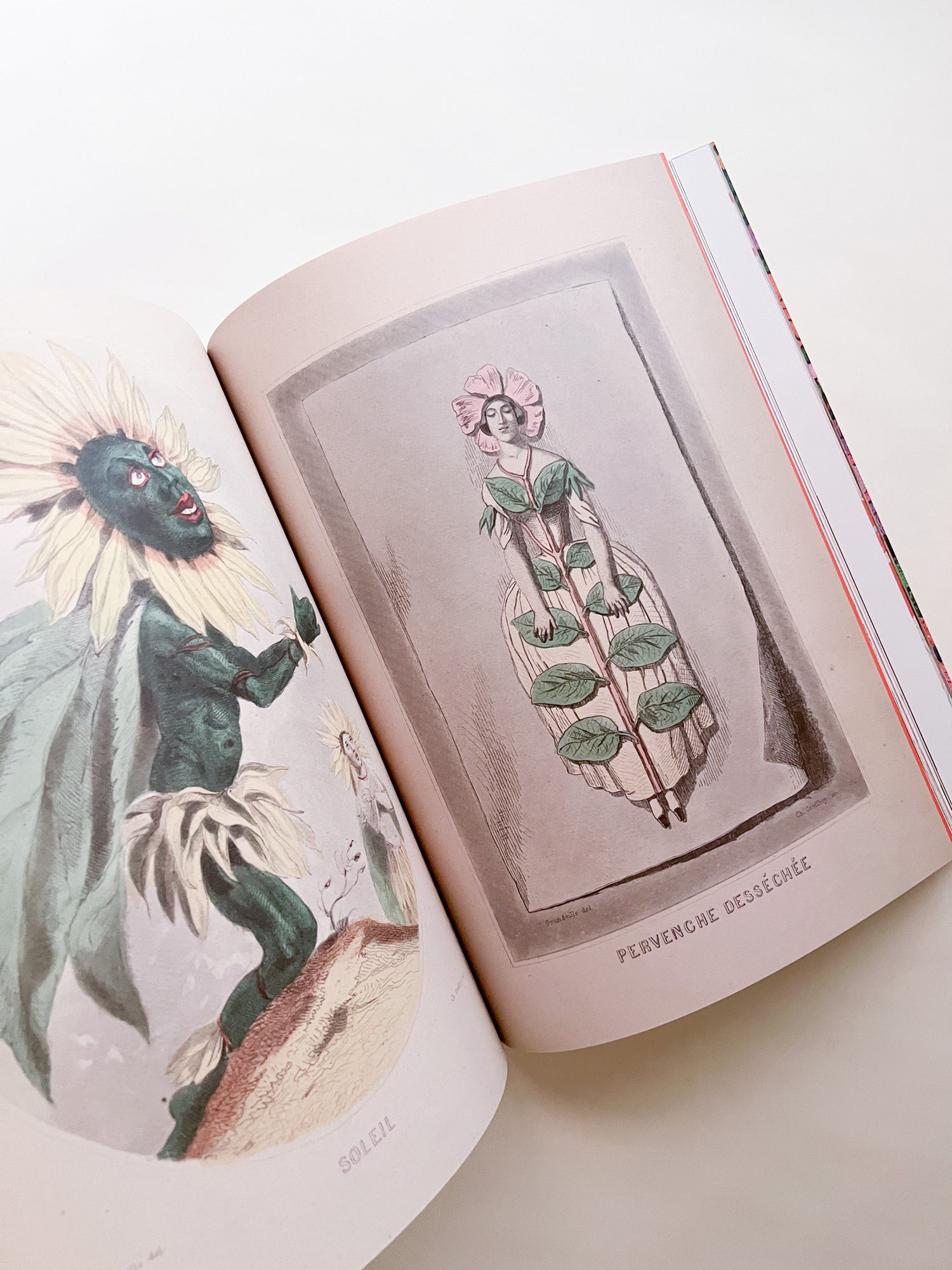 Blumenhaus magazine Issue6