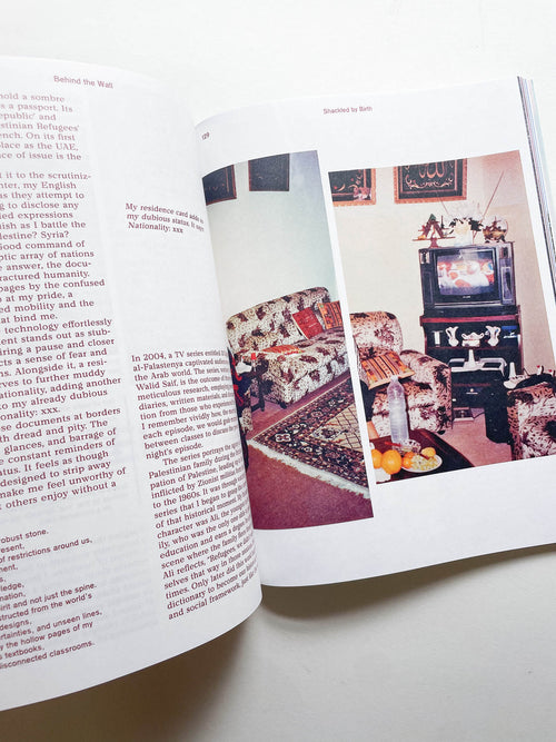 MacGuffin 14: The Wall