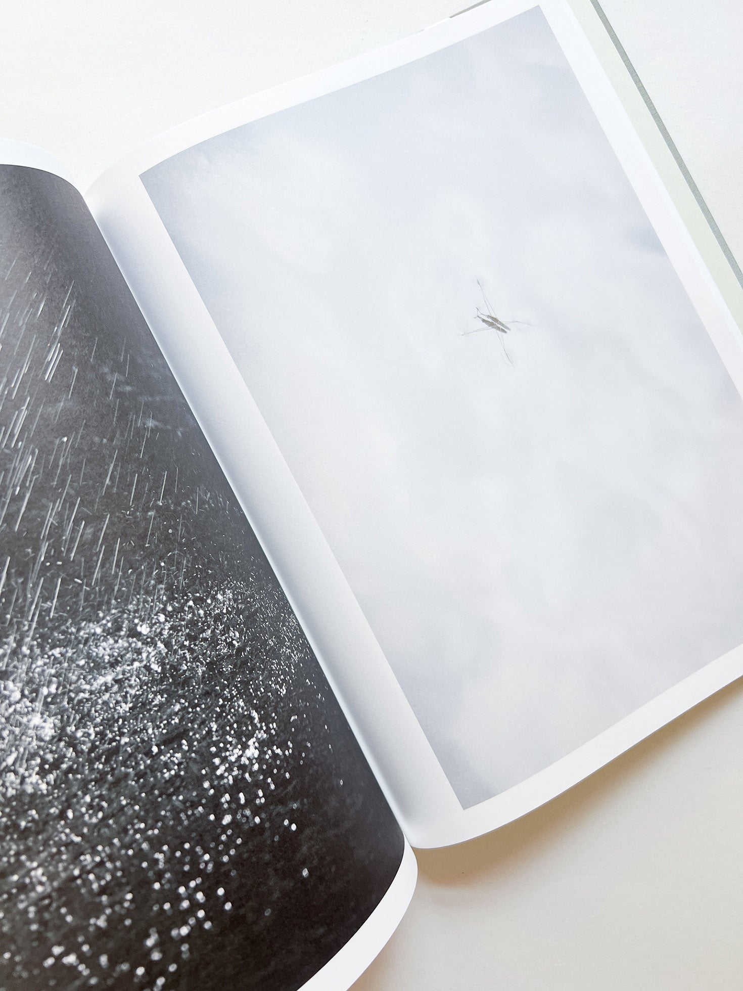 M/E / Rinko Kawauchi