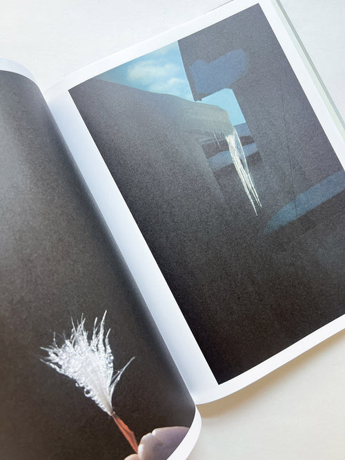 M/E / Rinko Kawauchi