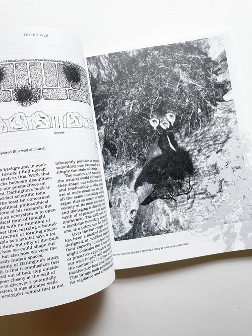 MacGuffin 14: The Wall