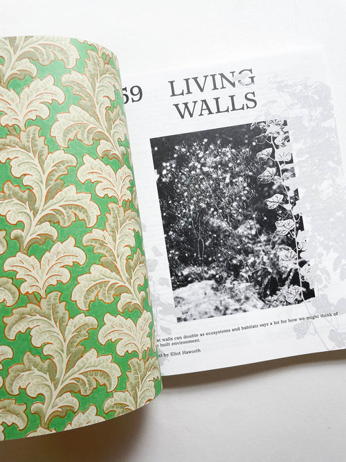 MacGuffin 14: The Wall