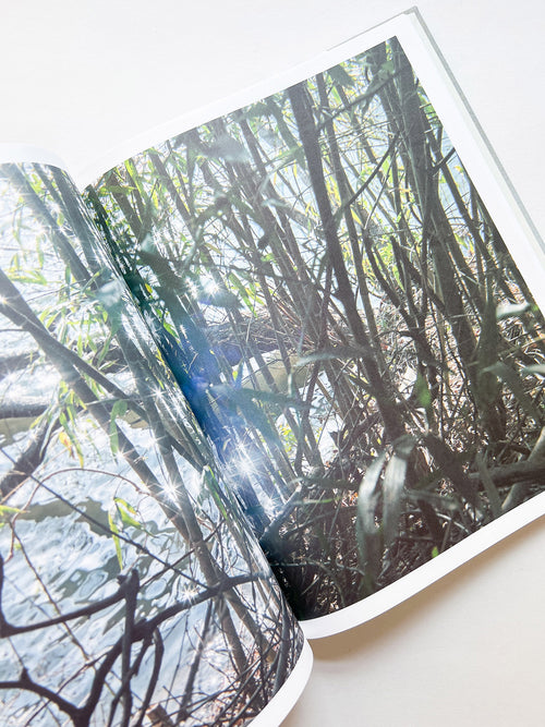 M/E / Rinko Kawauchi