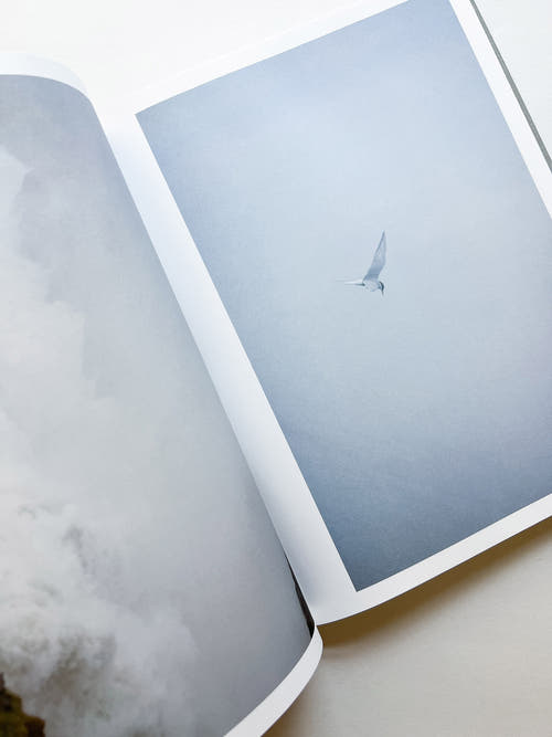 M/E / Rinko Kawauchi
